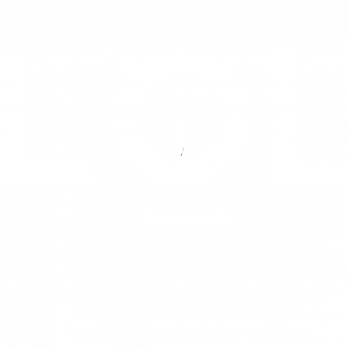 Logo Elola Vino y viñedos
