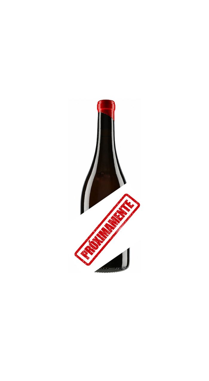 Botella ELOLA Rojo_Proximamente_miniatura Tinto ELOLA